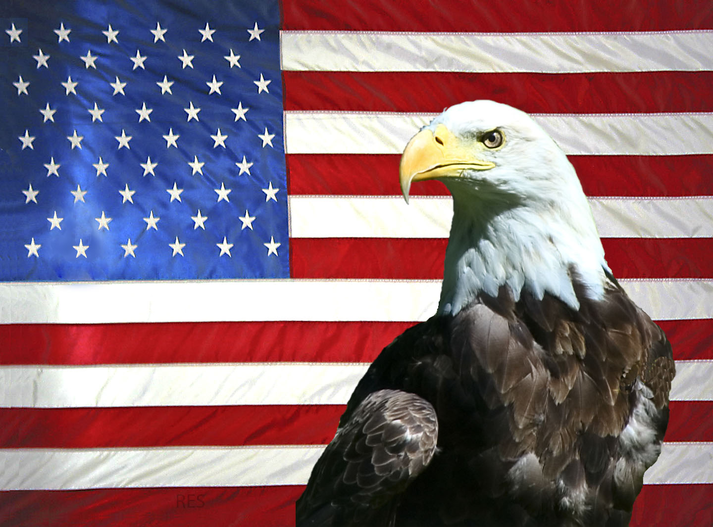 USflagEagle